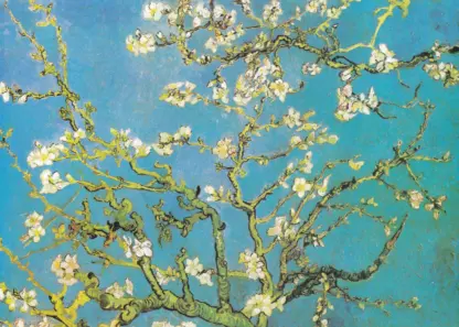 Tablou canvas Blühende Mandelbaumzweige Vincent van Gogh